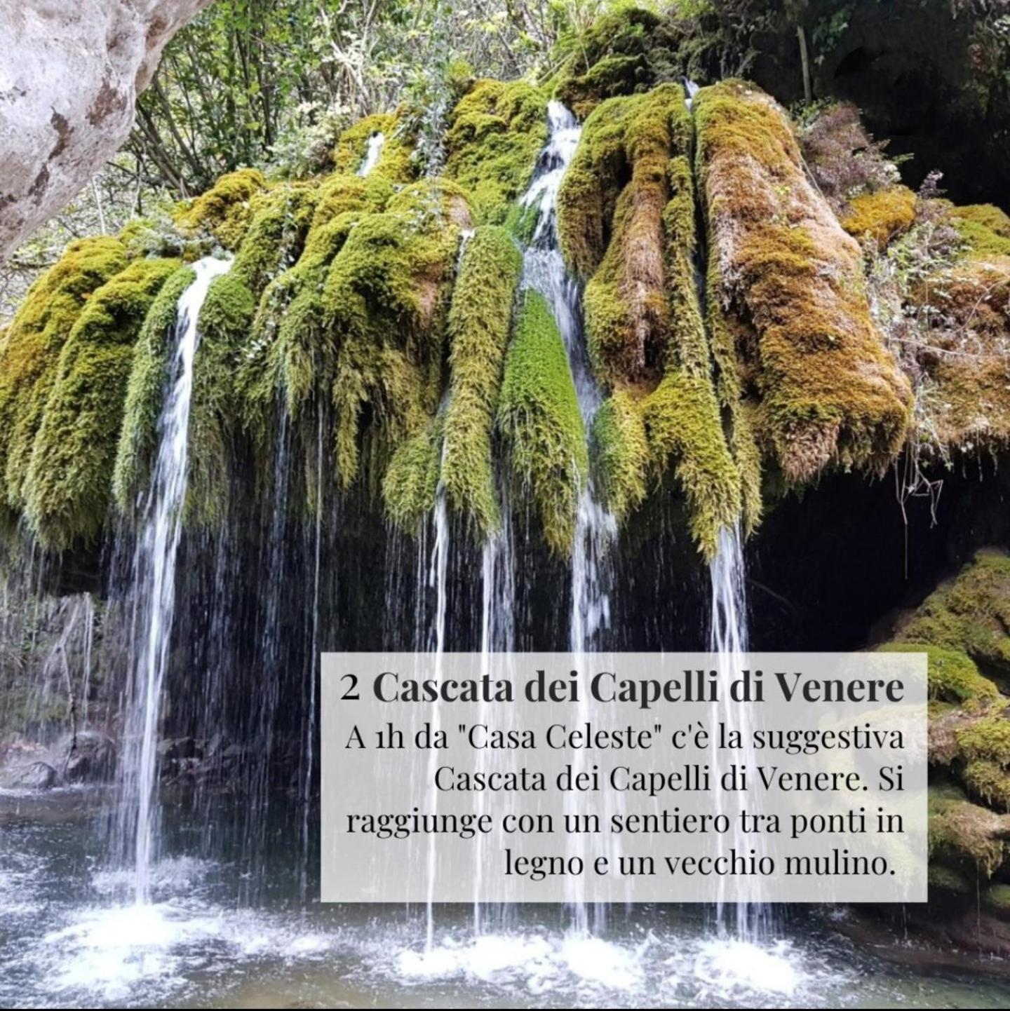 Nennella Cilento House Lägenhet Cuccaro Vetere Exteriör bild